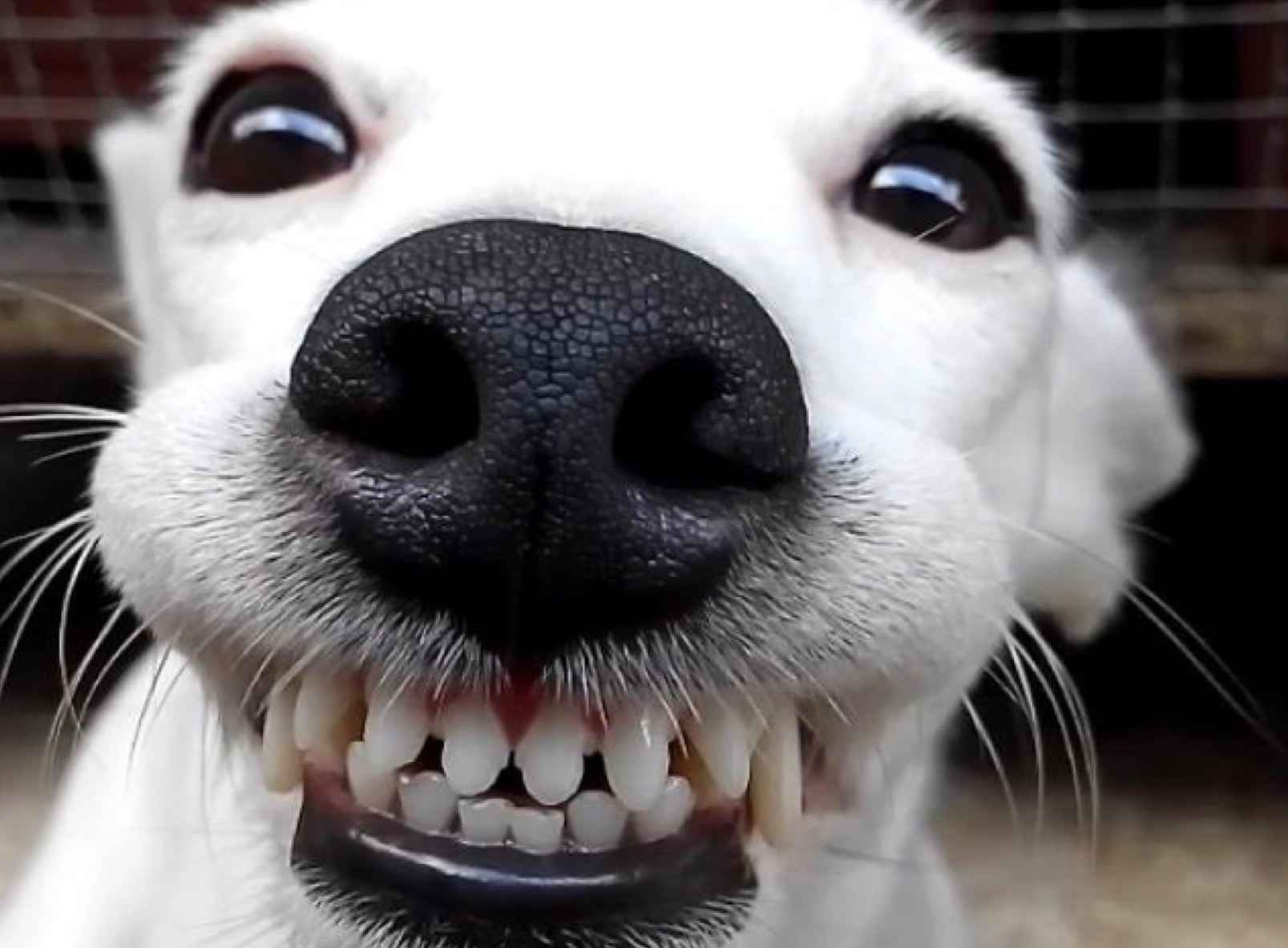 Image Title My Image