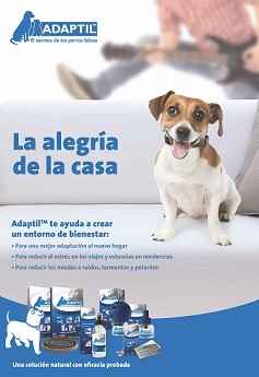 Image Title My Image