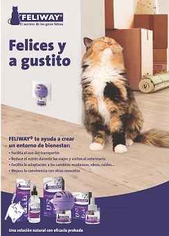 Image Title My Image